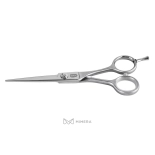 Professionelle Friseurschere AQE1110300