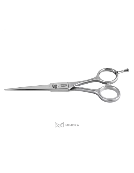 Professionelle Friseurschere AQE1110300