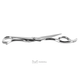 Professionelle Friseurschere AQE1110200