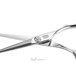 Professionelle Friseurschere AQE1110100