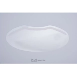 Professionelle Augen und Gesicht Schutzmaske (50 Stk./Pack.)