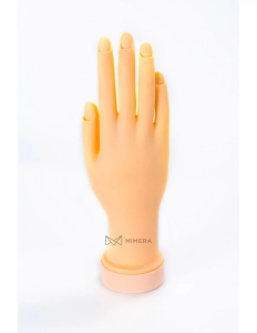 Soft hand model for nail art trainning
