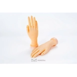 Soft hand model for nail art trainning