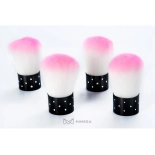 Staubpinsel mit Steinen