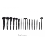 Make up brushes (12 pcs. set)