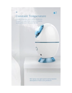 Tragbarer Gesichtsdampfer MIGNON