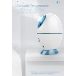 Tragbarer Gesichtsdampfer MIGNON