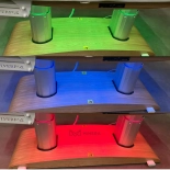 SPA Wellnessliege TARA PLUS E4 - mit Heizung und Audio/Vibrationssystem, aschegrau/hellgrau