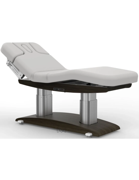 SPA Wellnessliege TARA PLUS E4 - mit Heizung und Audio/Vibrationssystem, schwarznuss/hellgrau