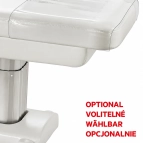 Elektrische SPA-Liege Silverfox SATURN PLUS E4 – mit Heizfunktion, hellgrau