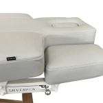 SPA Wellnessliege LUNA ARM PLUS E3 - mit Heizung und Audio/Vibrationssystem, teak/hellgrau