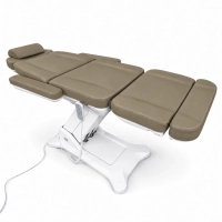 Elektrische Kosmetikliege Silverfox LAPIS E4 - taupe
